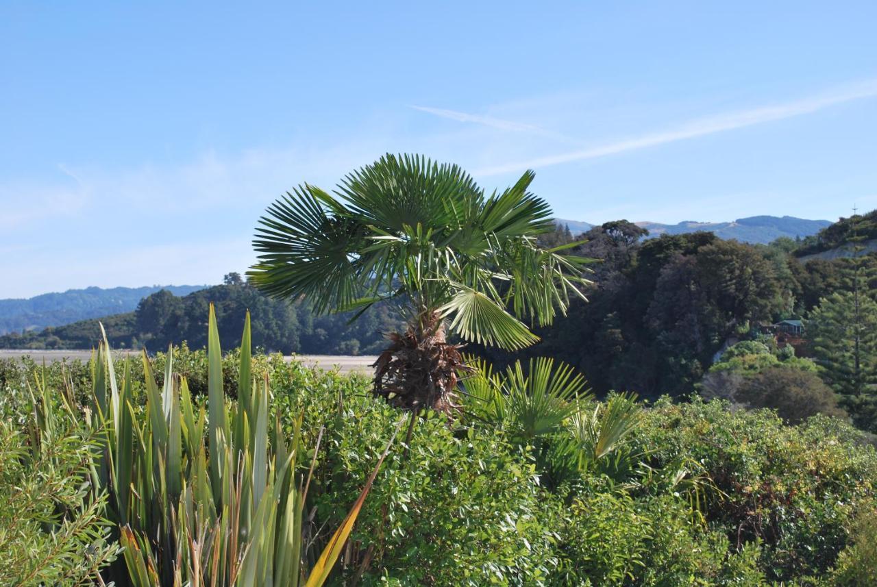 Front Studio, Palms - Tapu Bay Studio * Tasman